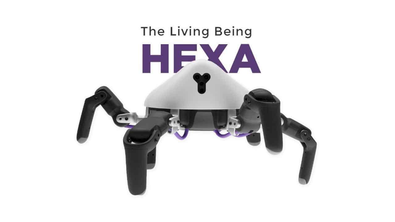 Hexa Robot 7