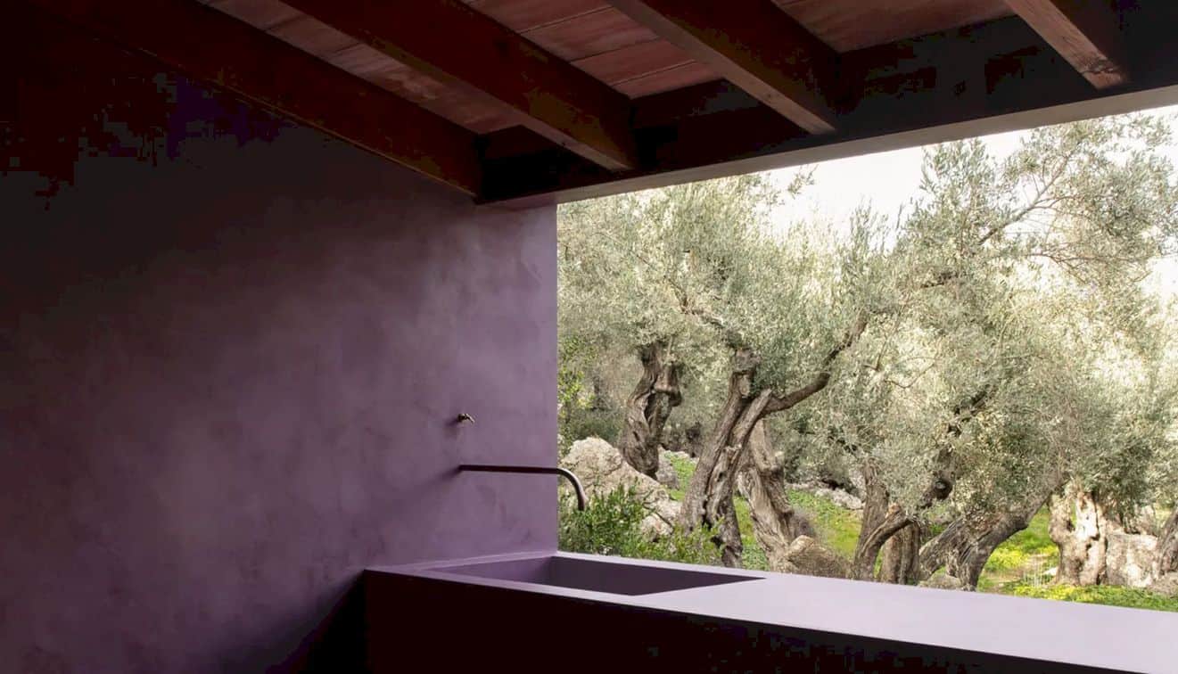 The Olive Houses By Mar Plus Ask 2